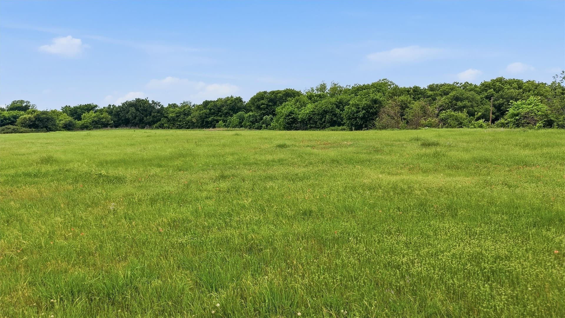 10.38 acres in Denton County - photo 29