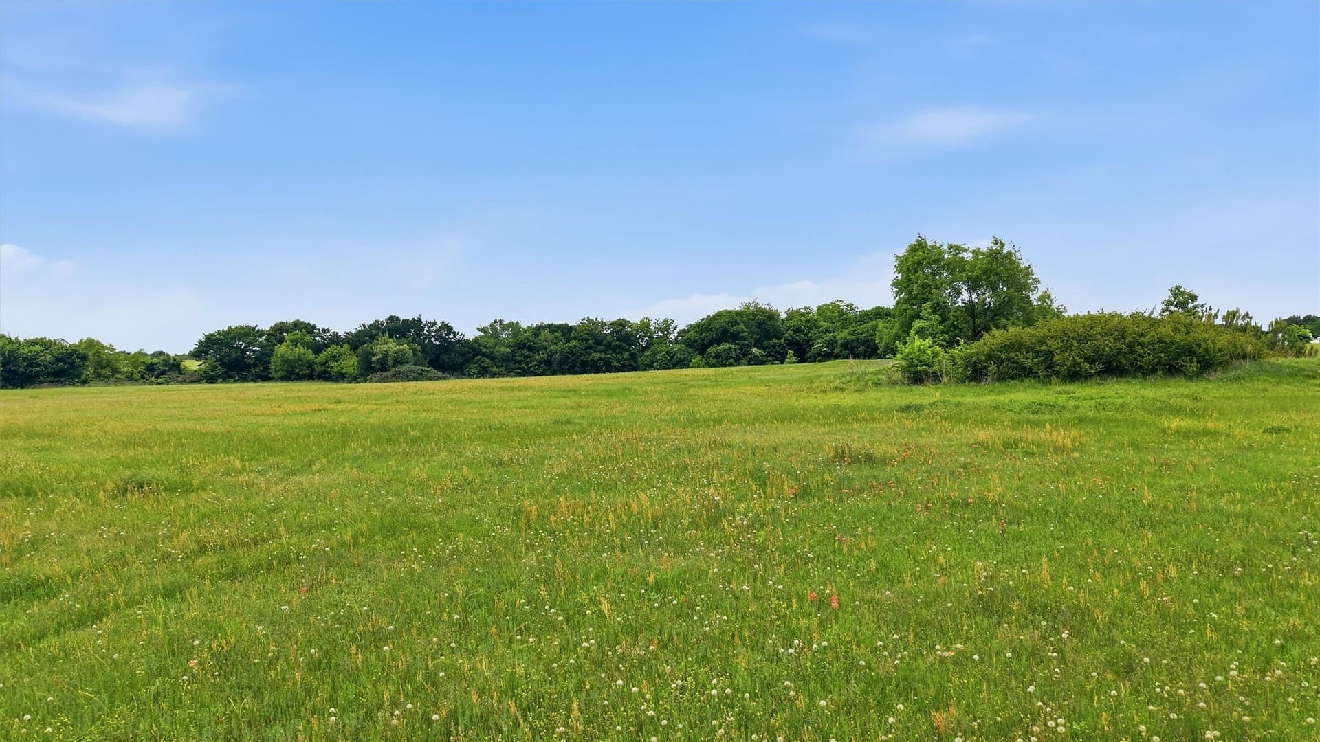 10.38 acres in Denton County - photo 24