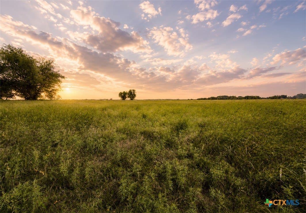 52.22 acres in Bosque County - photo 7