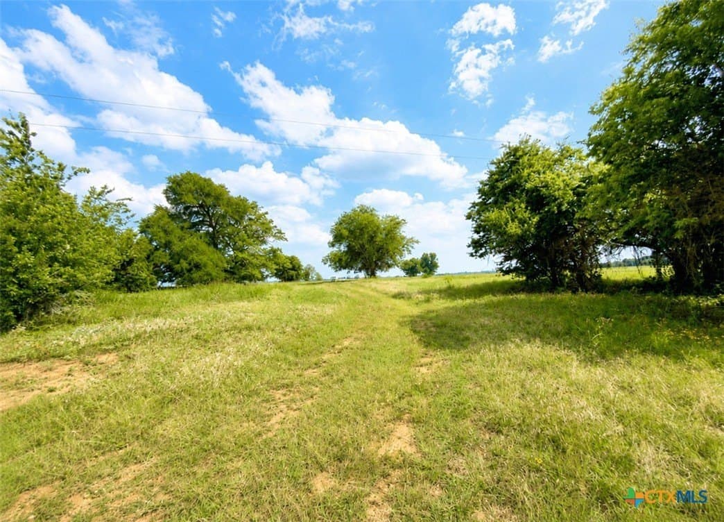 52.22 acres in Bosque County gallery image 4