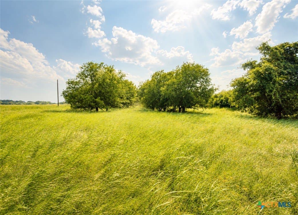 52.22 acres in Bosque County gallery image 3