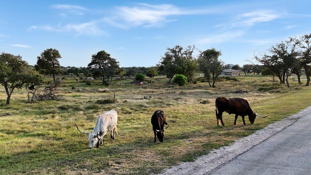 3.83 acres in Gillespie County - photo 4