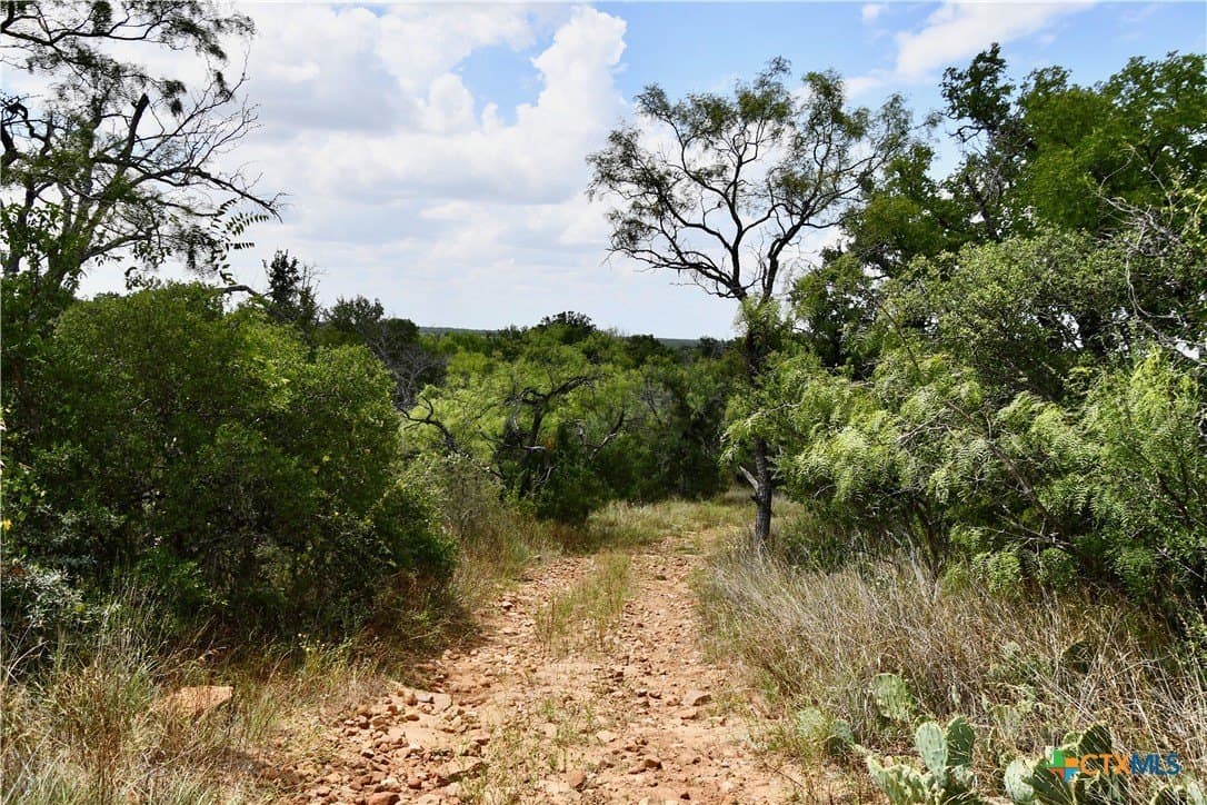 76.6 acres in San Saba County - photo 17