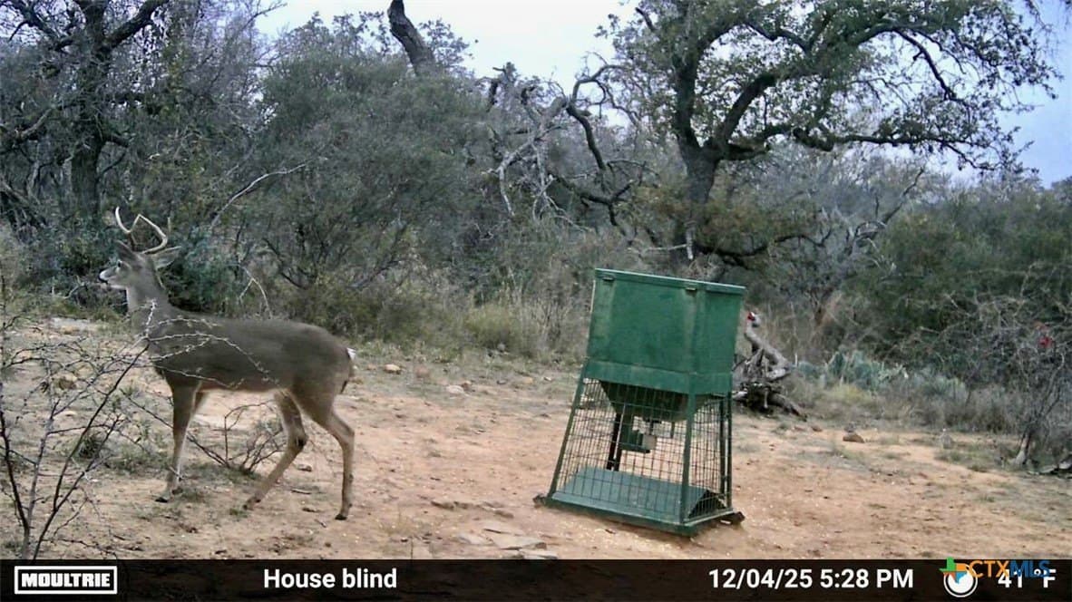 76.6 acres in San Saba County - photo 30