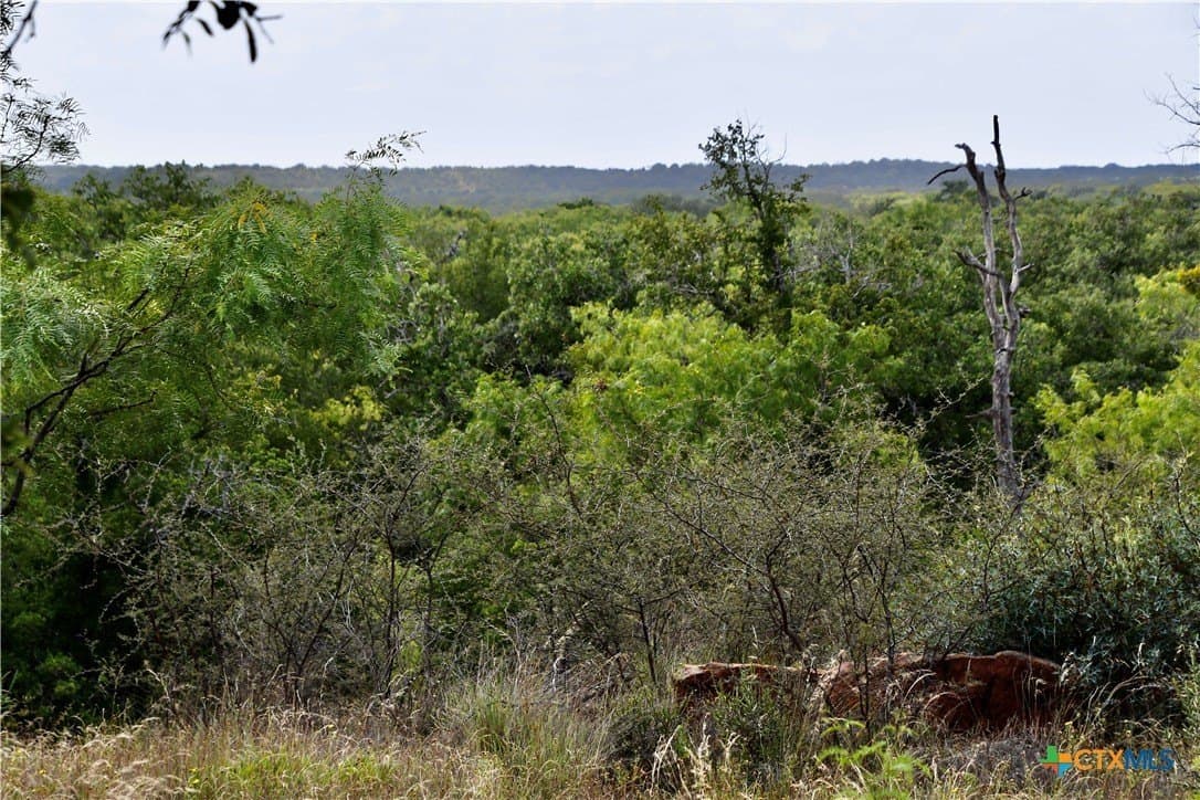 76.6 acres in San Saba County - photo 12