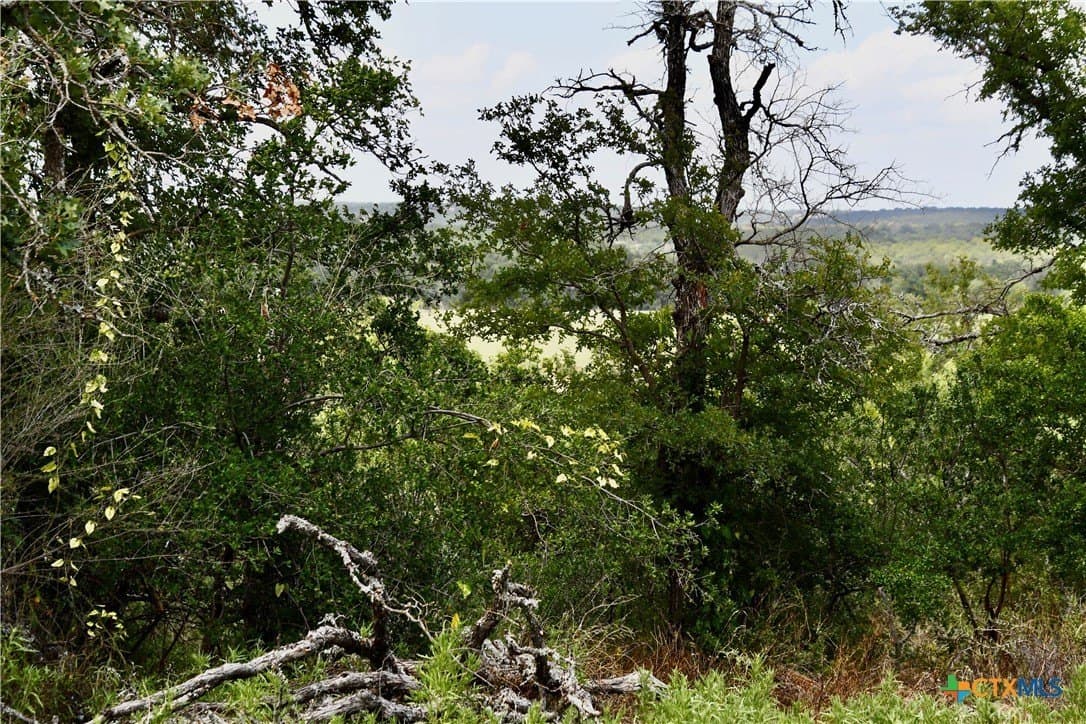 76.6 acres in San Saba County - photo 13