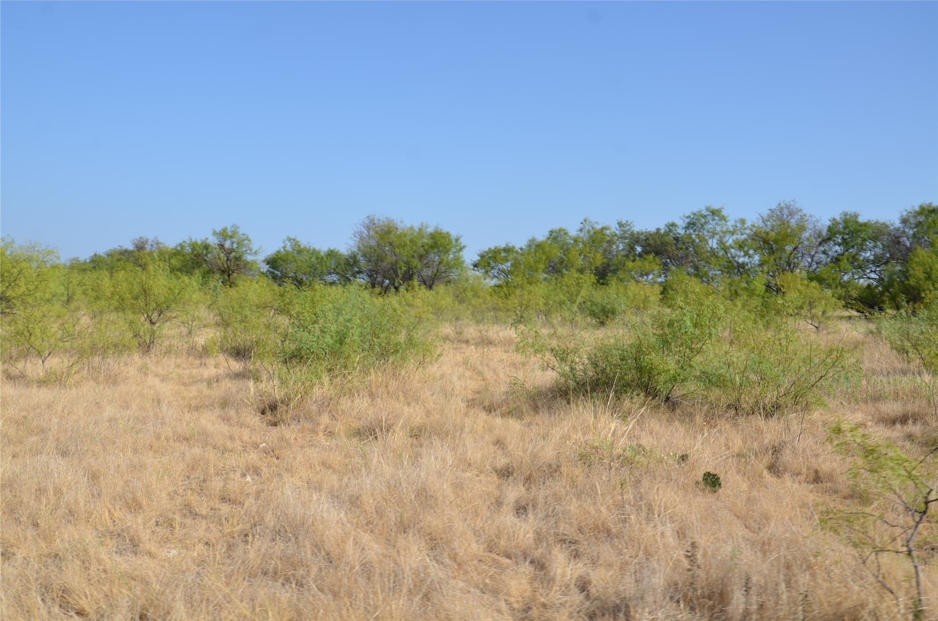 555 acres in Callahan County - photo 18