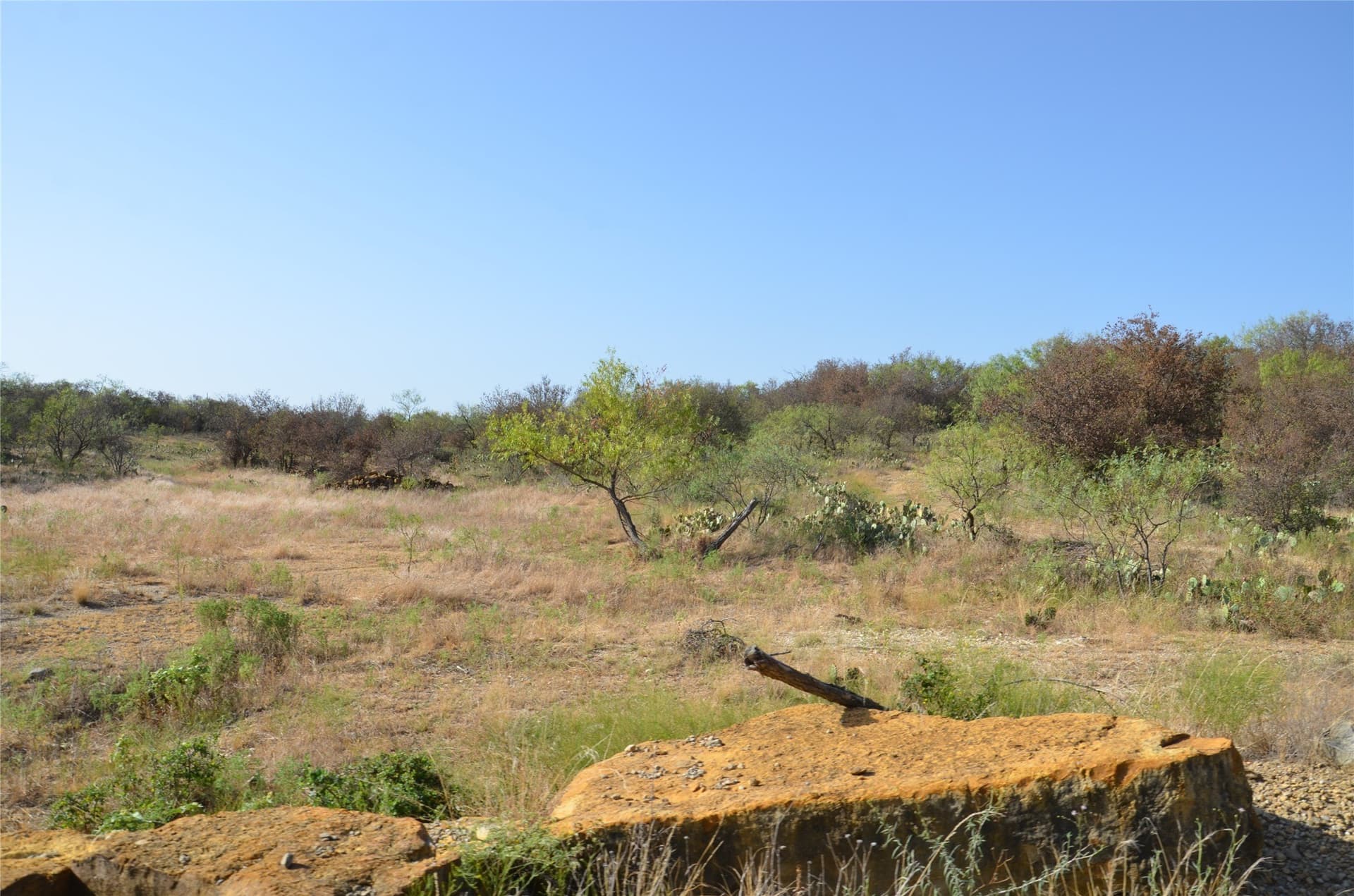 555 acres in Callahan County - photo 4