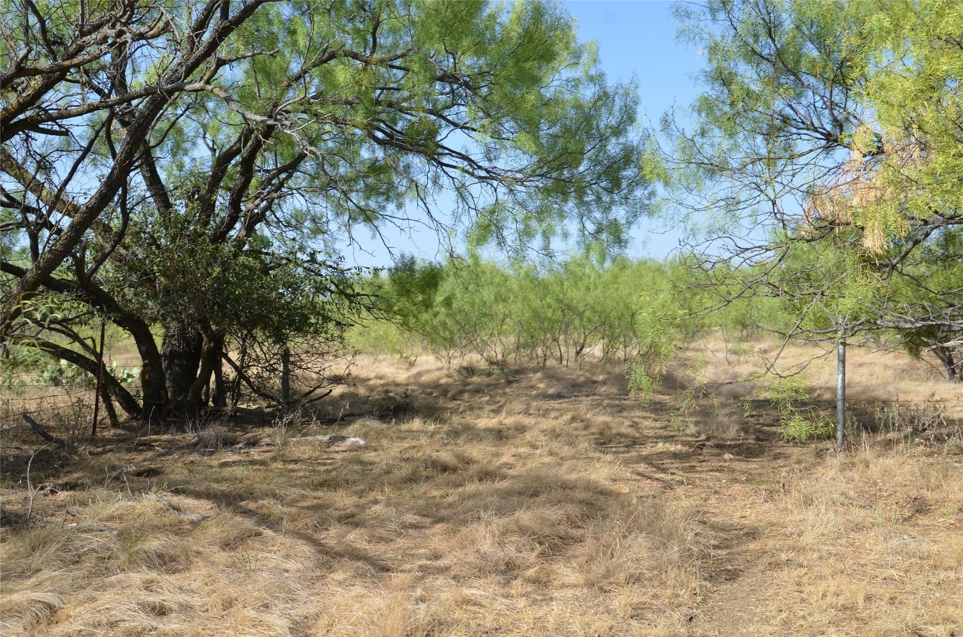 555 acres in Callahan County - photo 24