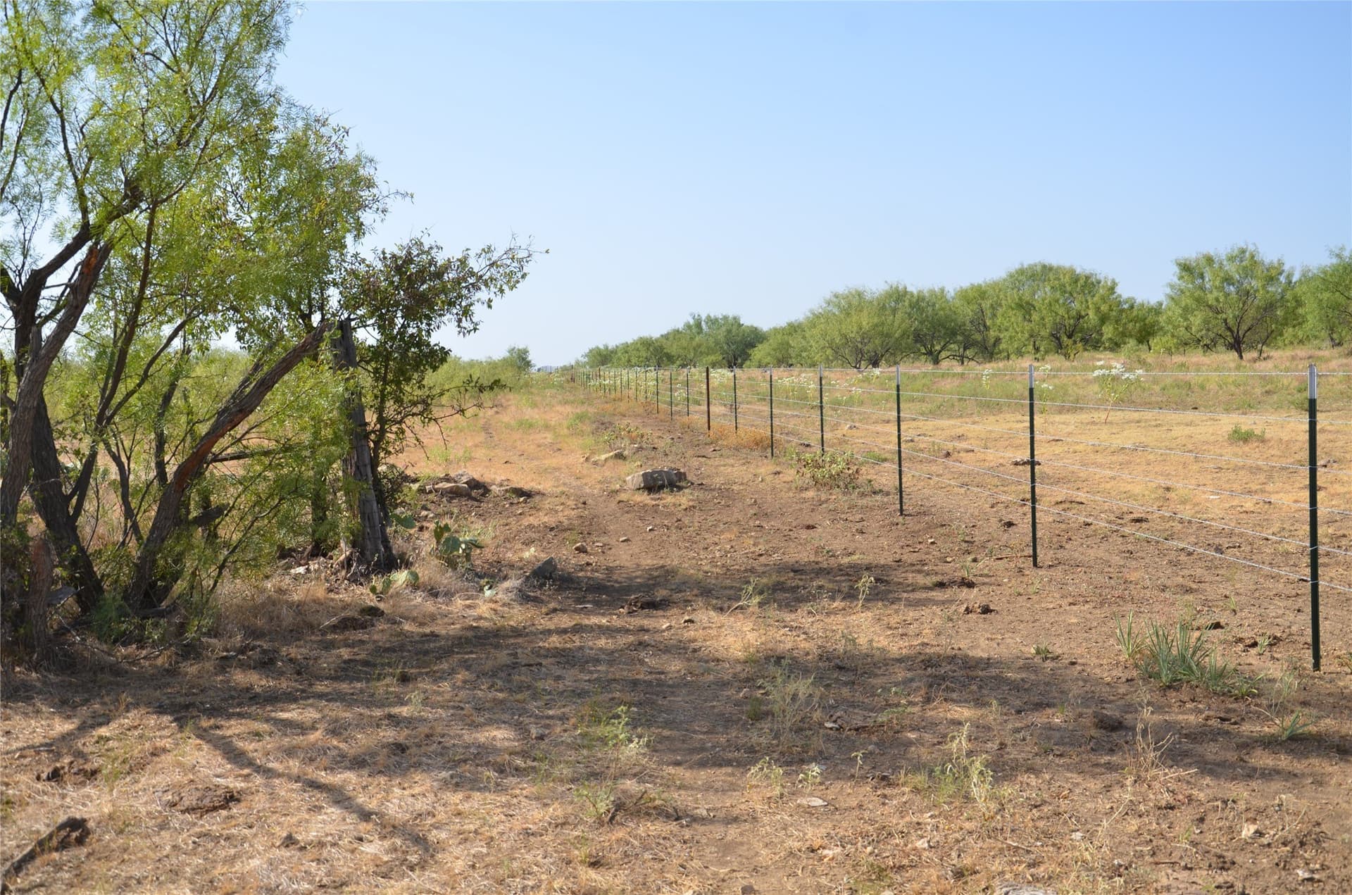 555 acres in Callahan County - photo 23