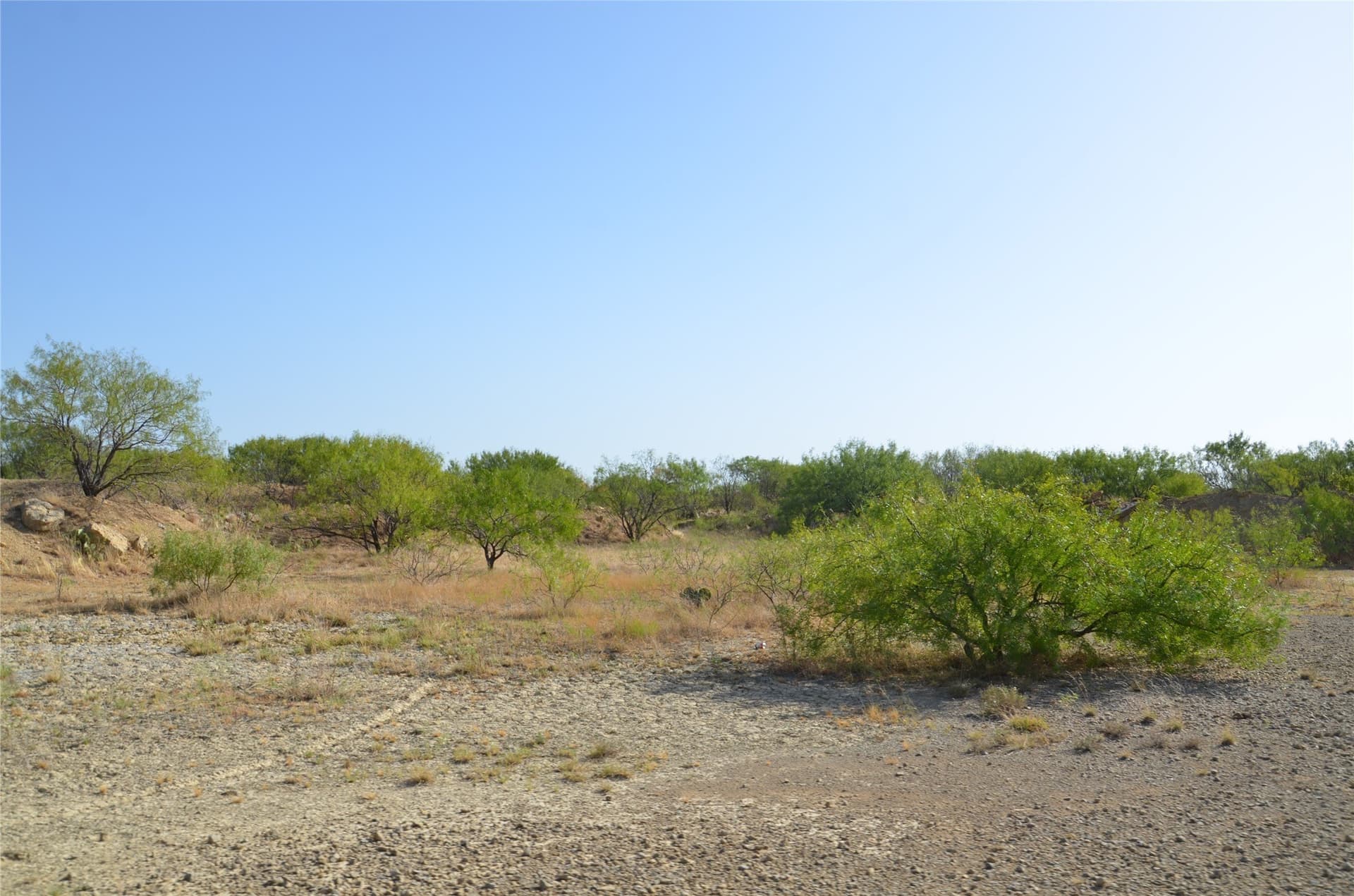 555 acres in Callahan County - photo 9