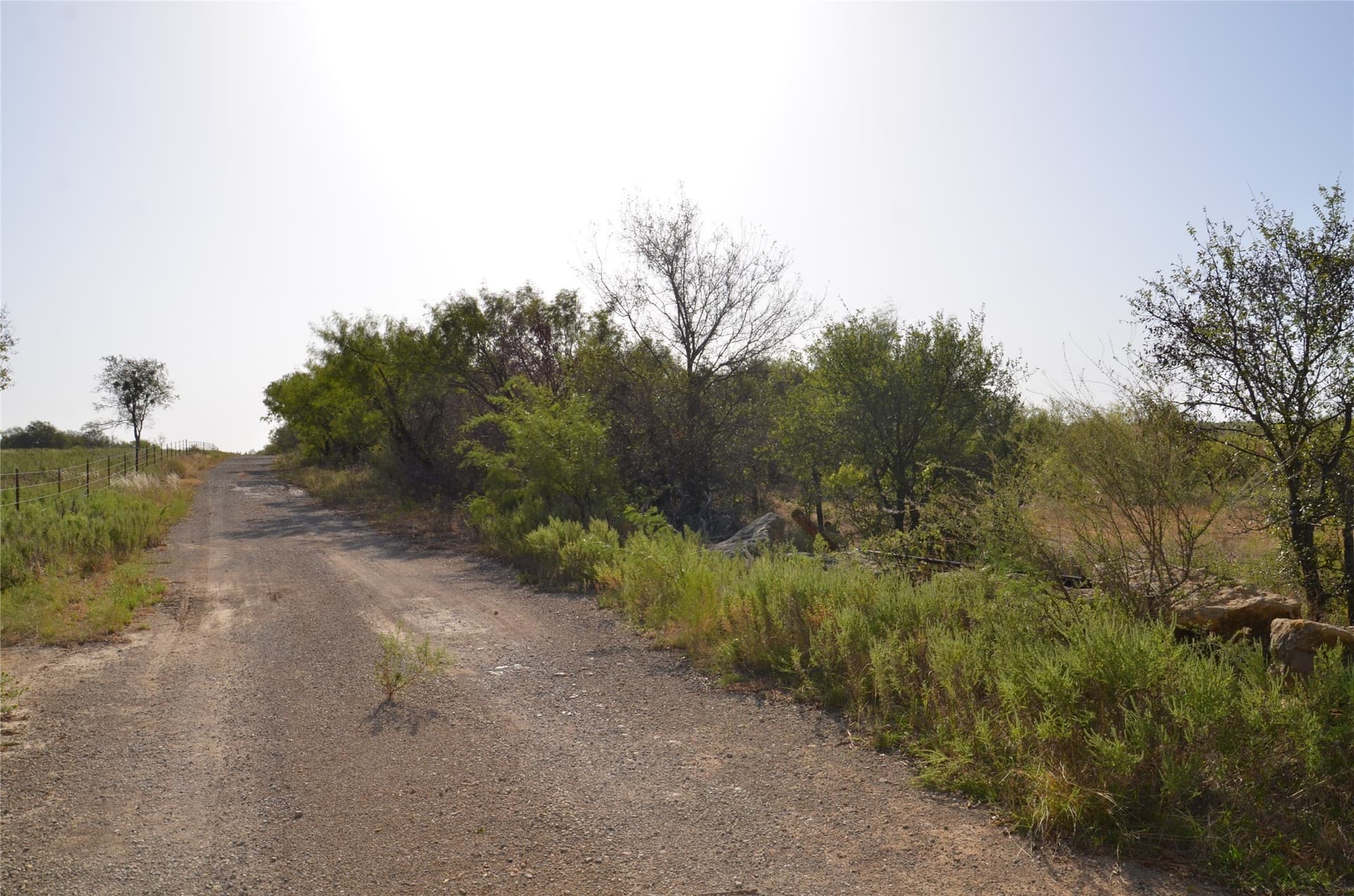555 acres in Callahan County - photo 2