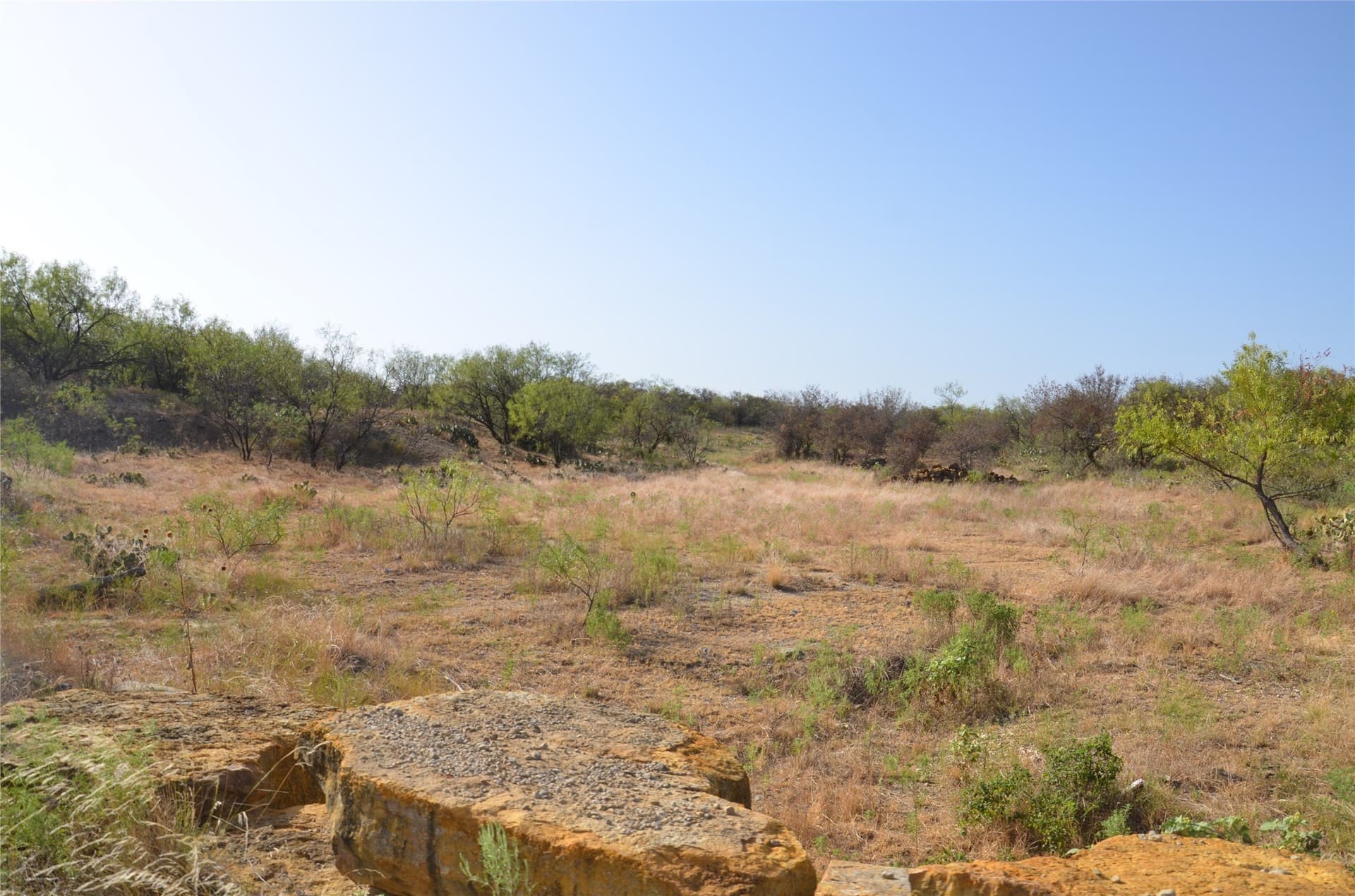 555 acres in Callahan County - photo 5