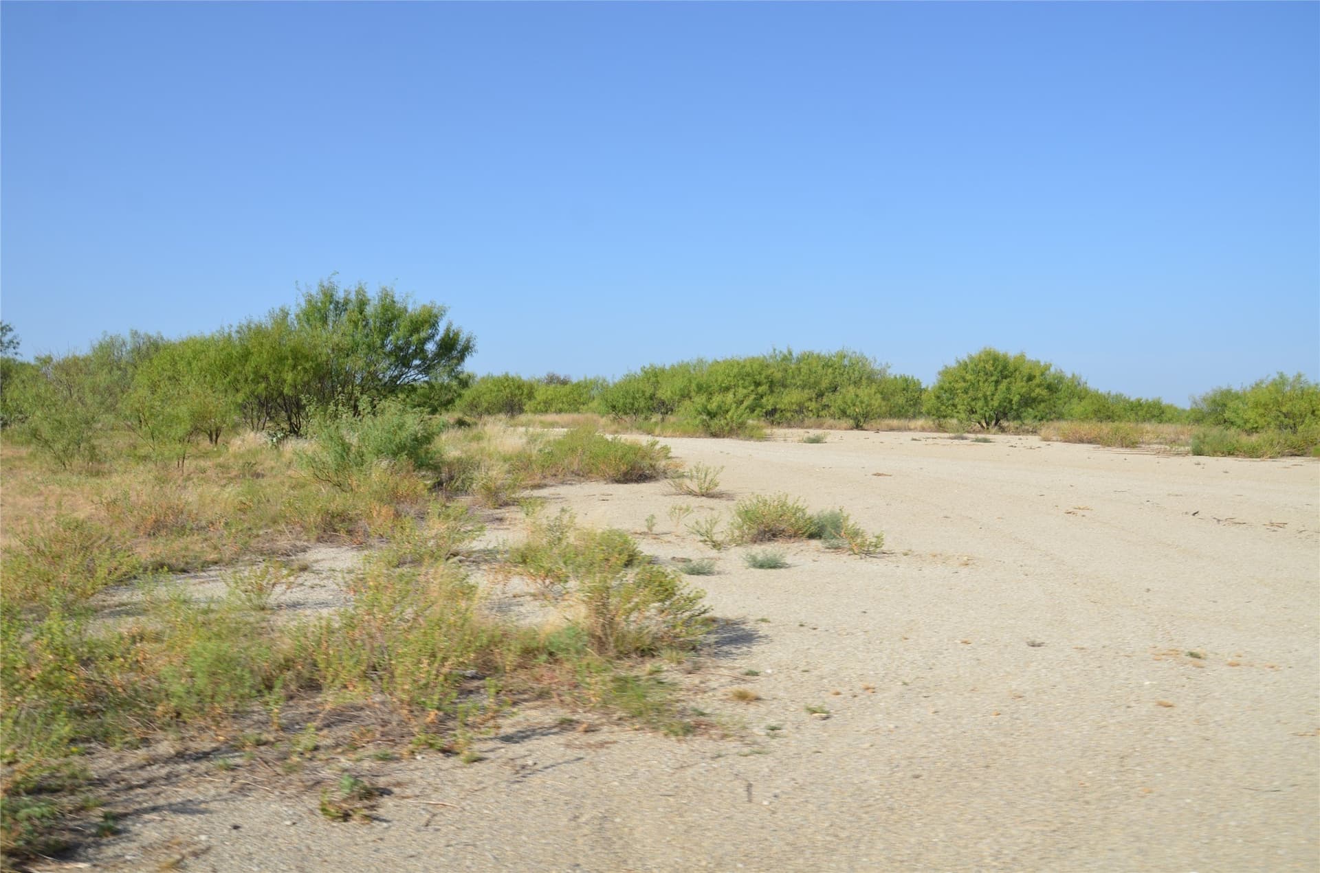555 acres in Callahan County - photo 3
