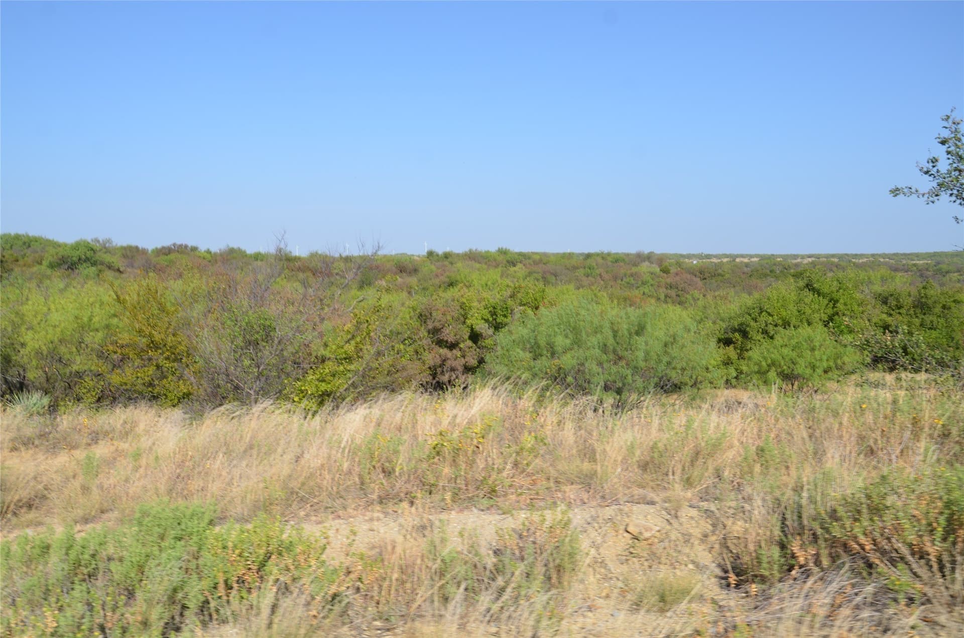 555 acres in Callahan County - photo 15