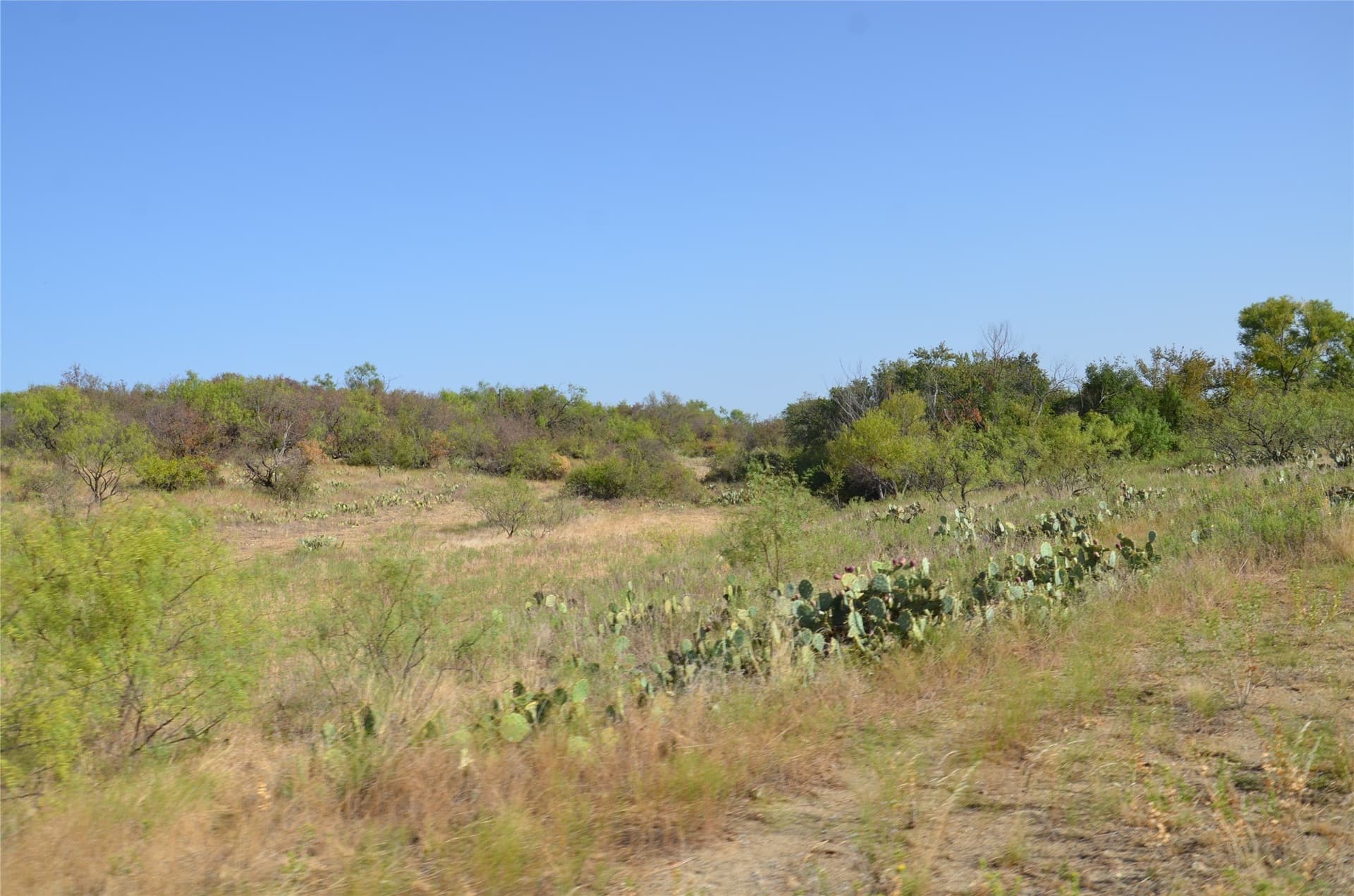 555 acres in Callahan County - photo 16
