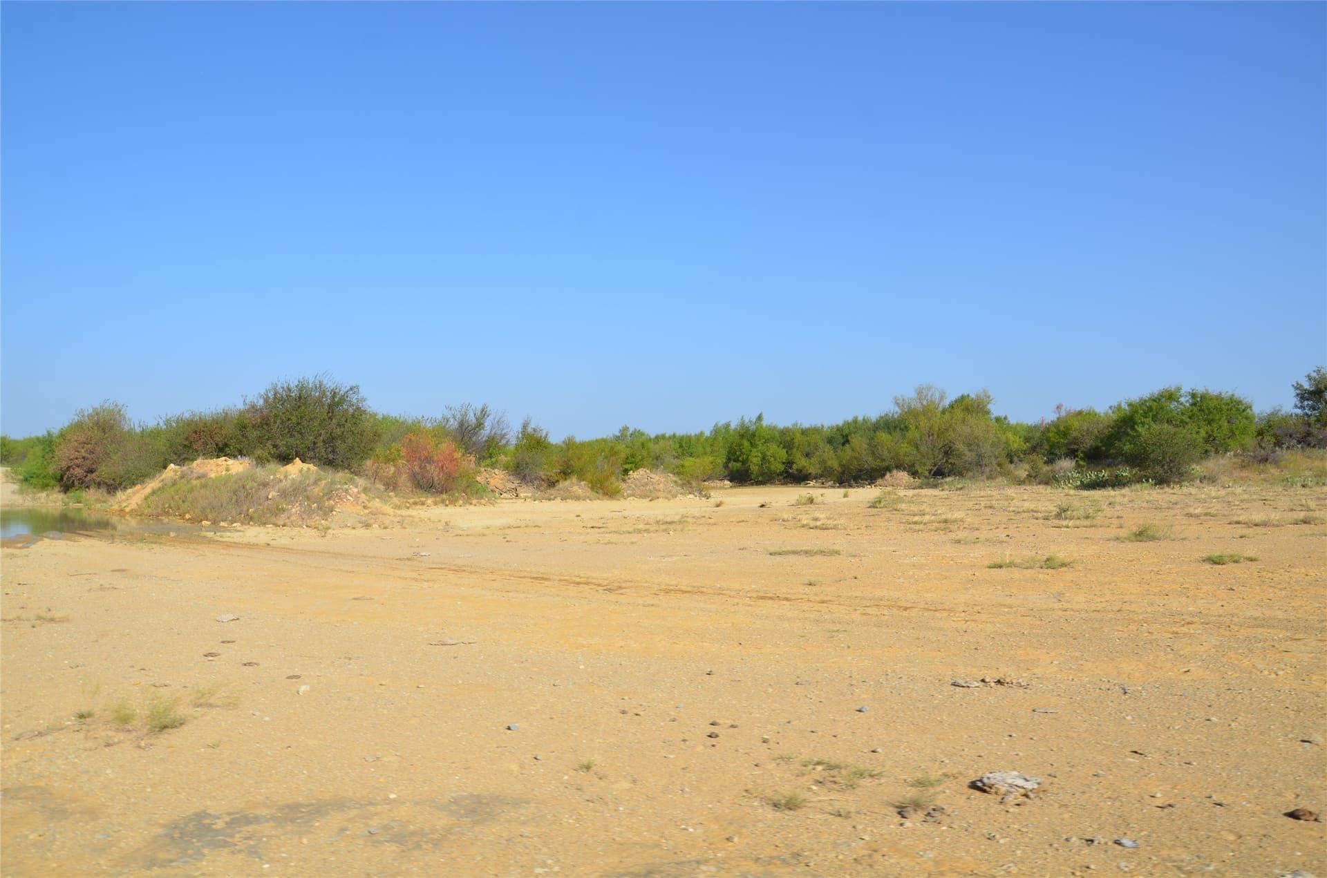 555 acres in Callahan County - photo 6