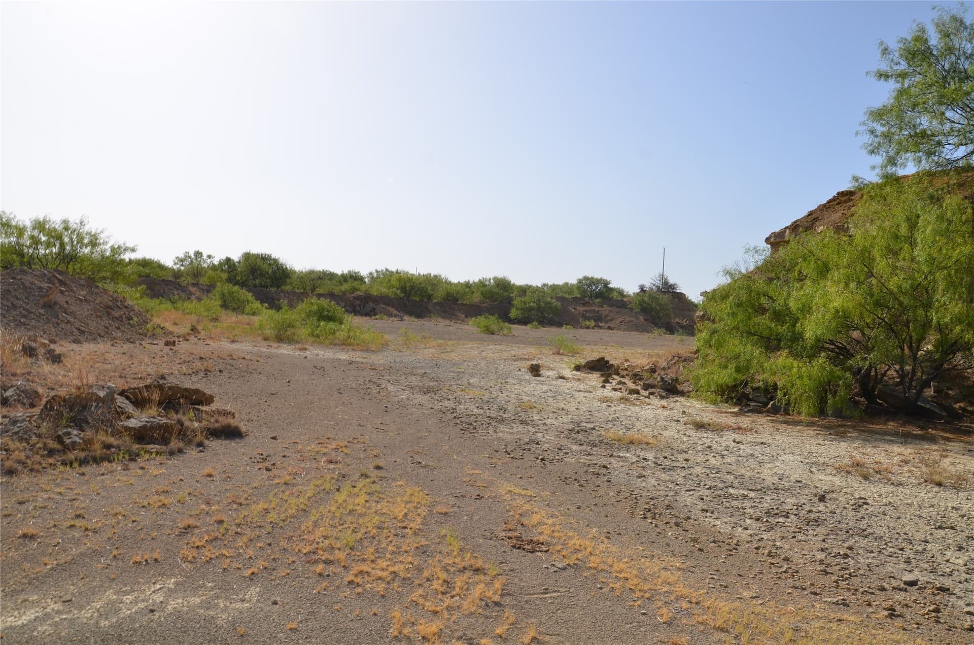 555 acres in Callahan County - photo 11
