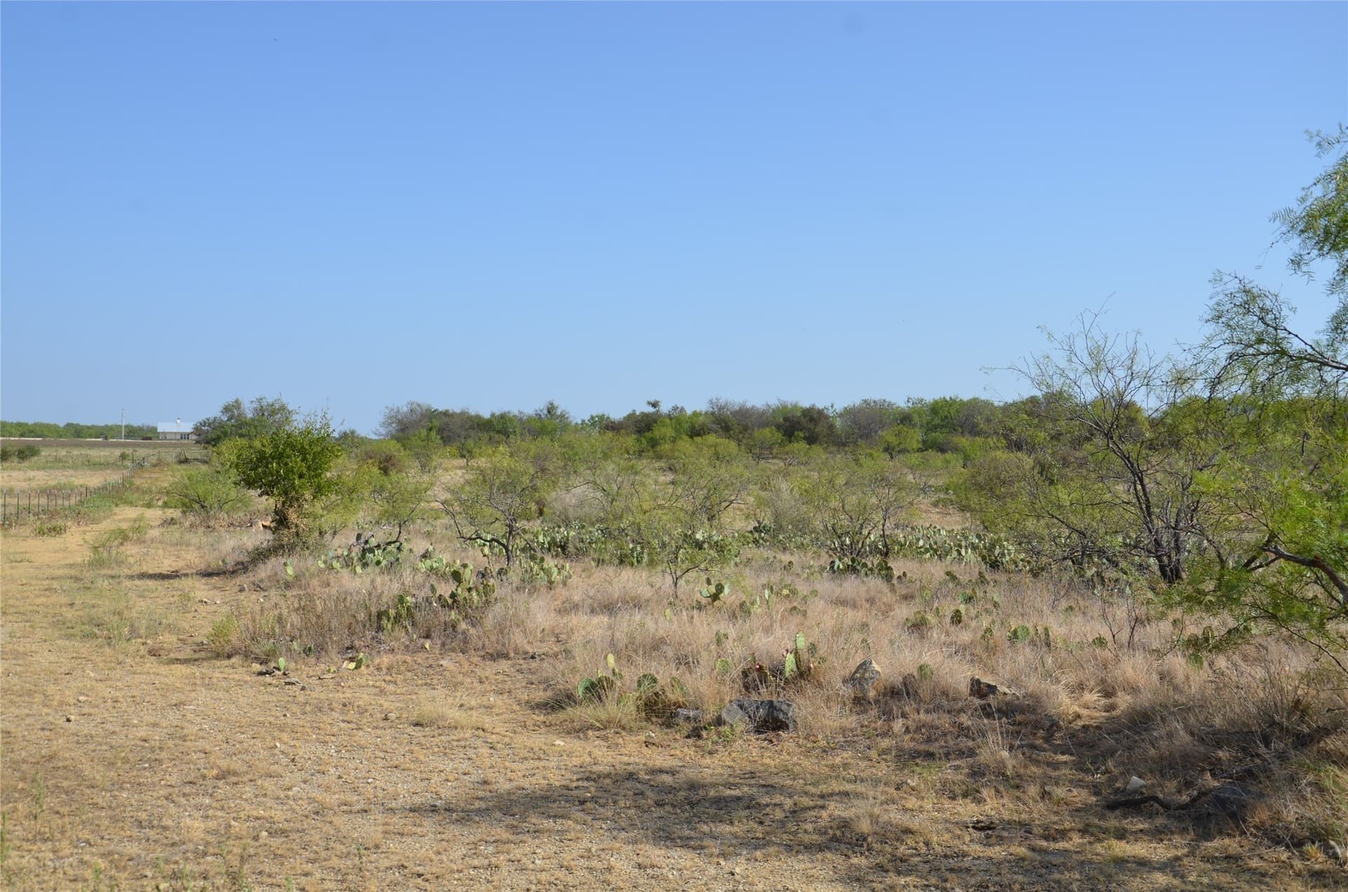 555 acres in Callahan County - photo 22