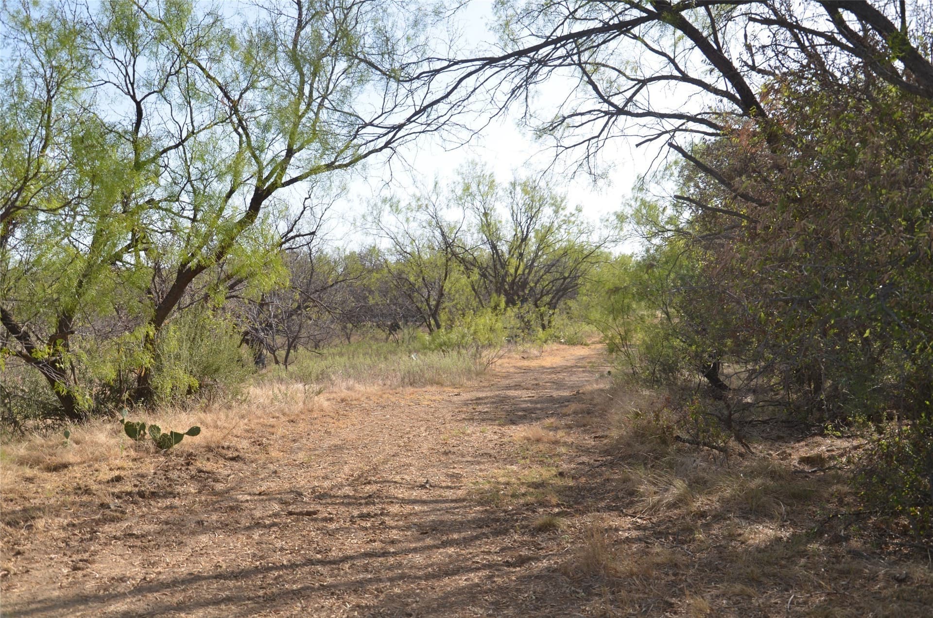 555 acres in Callahan County - photo 20