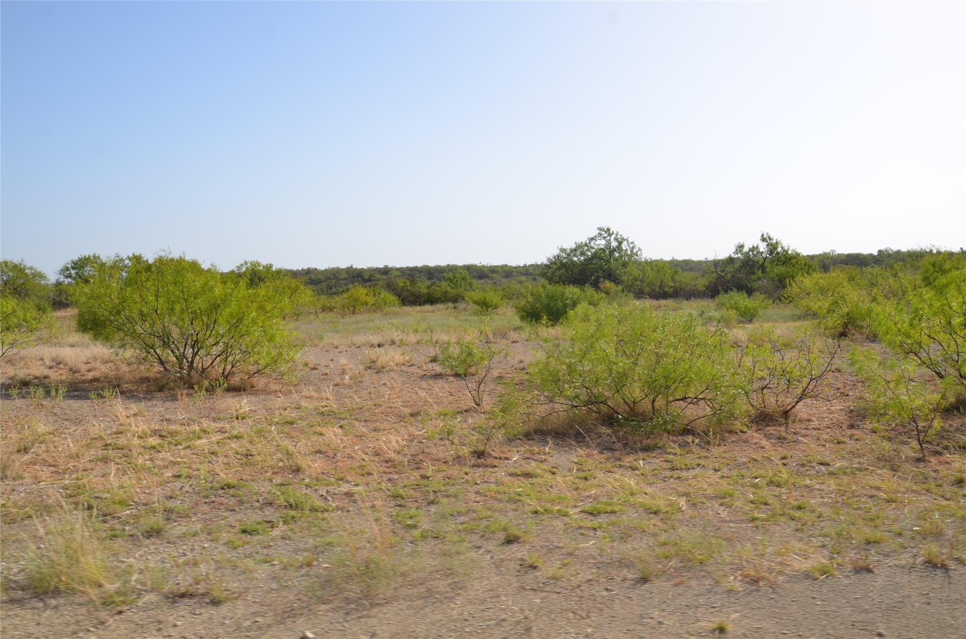 555 acres in Callahan County - photo 14