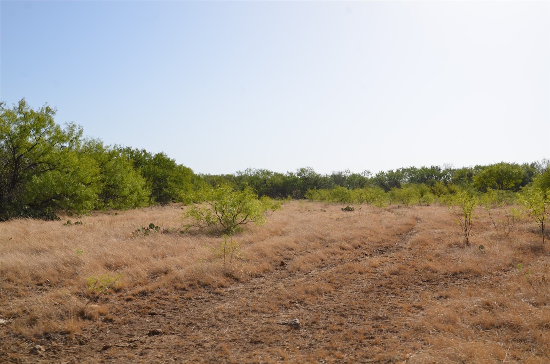 555 acres in Callahan County - photo 19