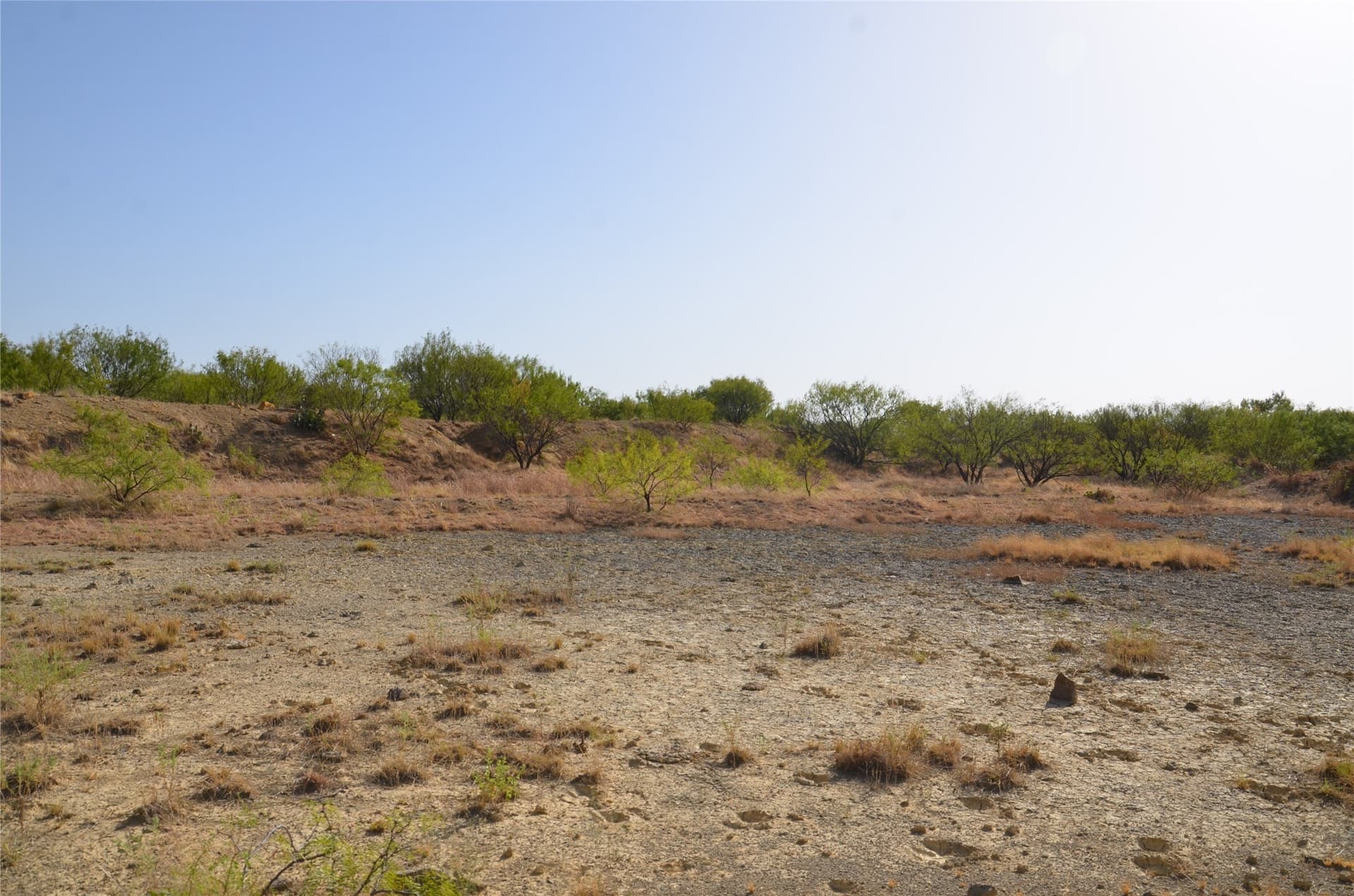 555 acres in Callahan County - photo 12