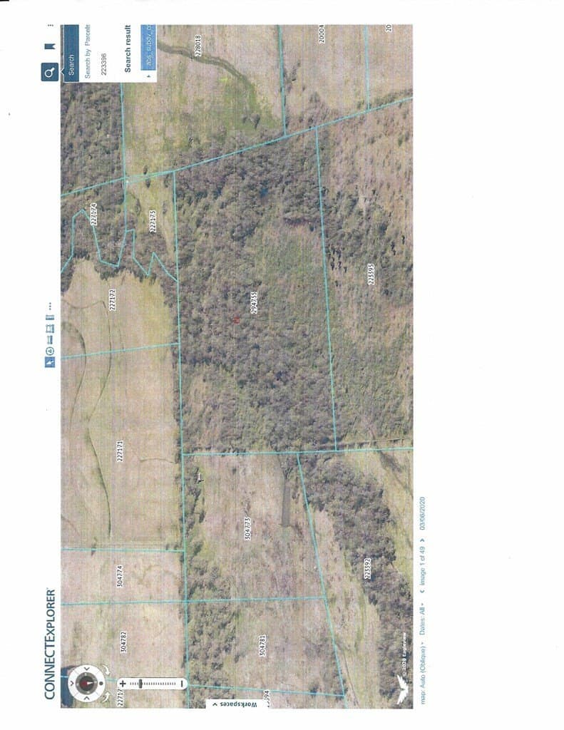 50 acres in Henderson County gallery image 2