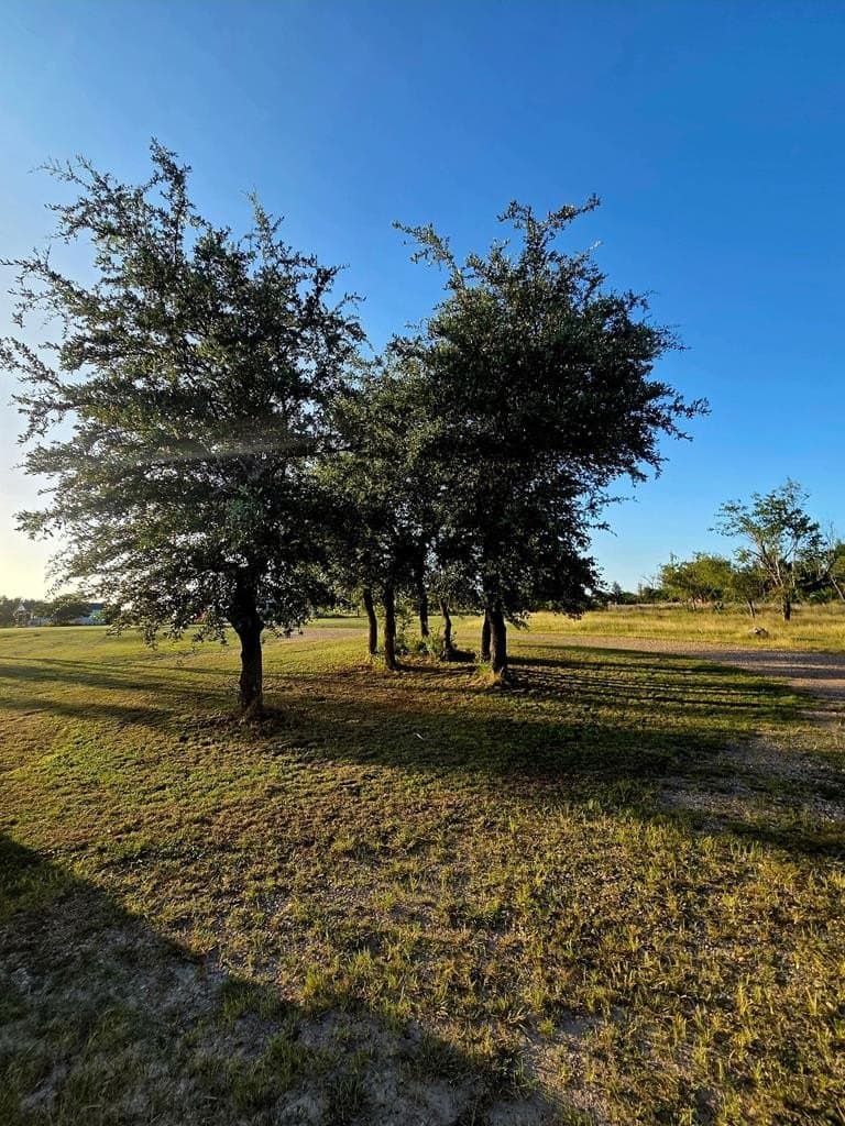 10.45 acres in Gillespie County - photo 45