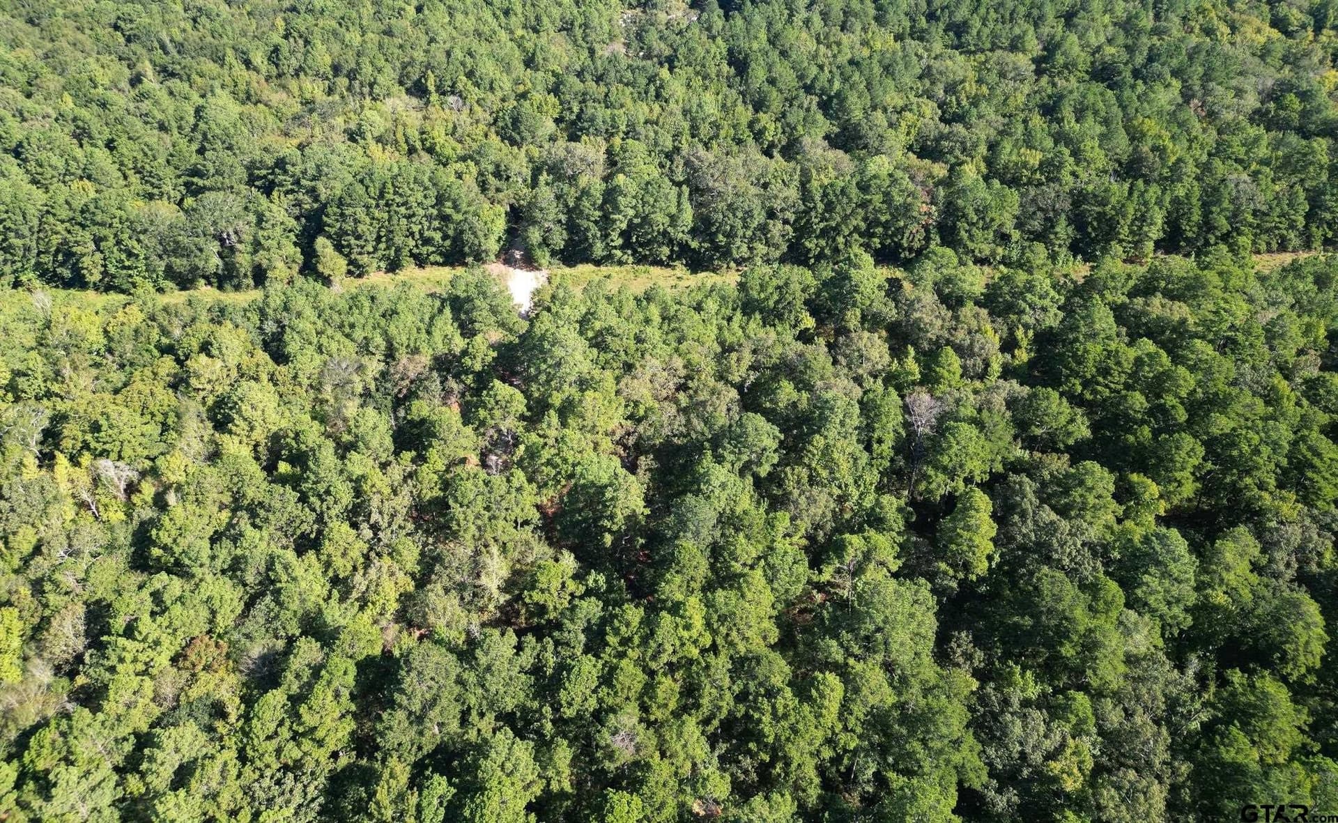 15 acres in Cherokee County - photo 4