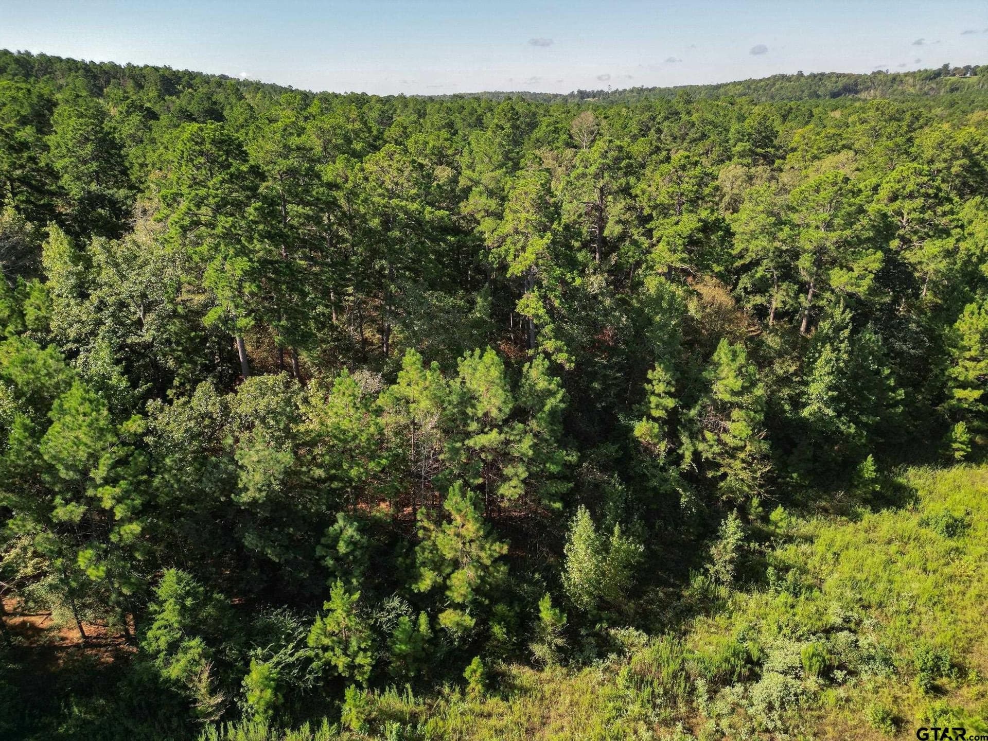15 acres in Cherokee County - photo 2
