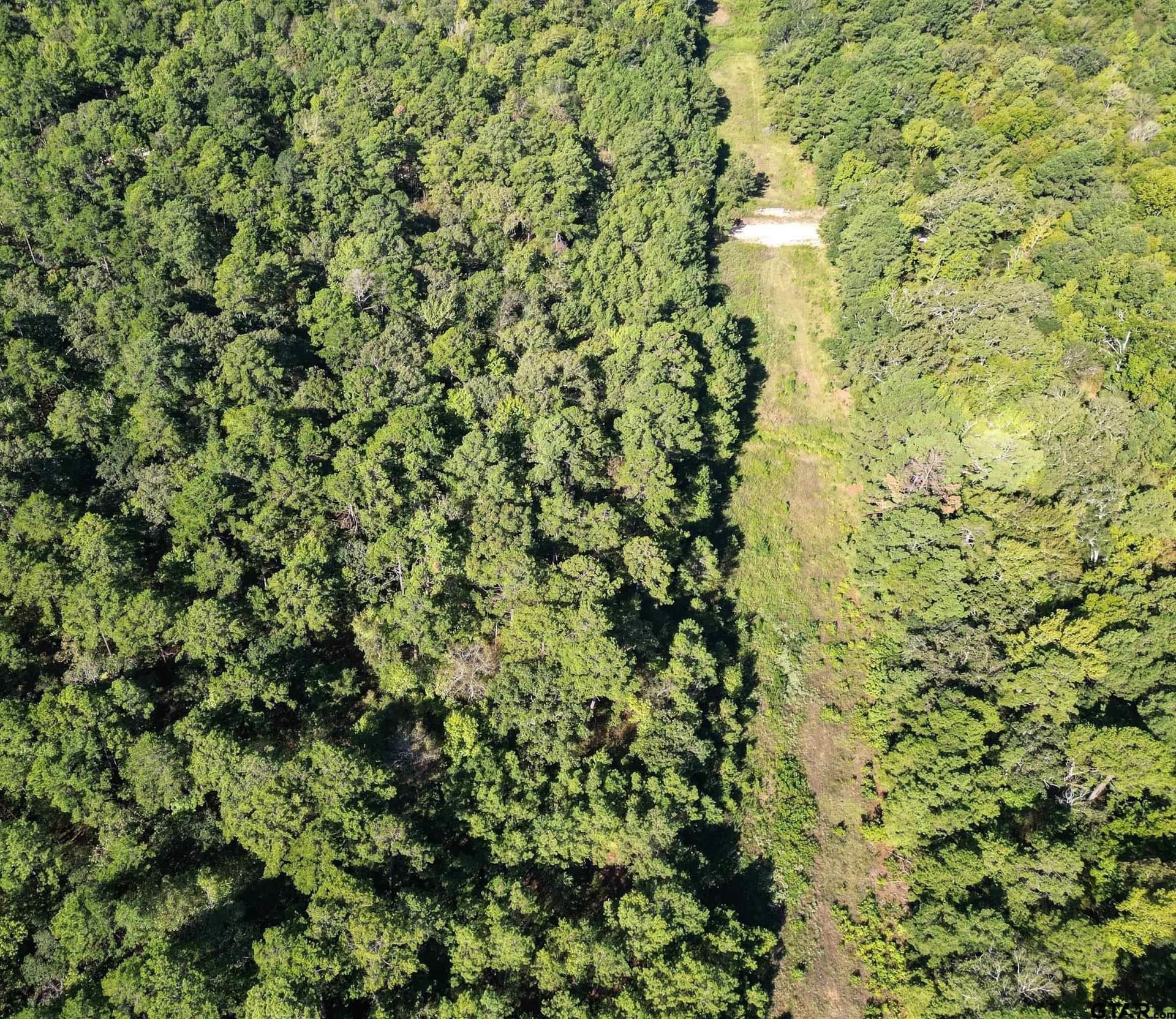 15 acres in Cherokee County - photo 6