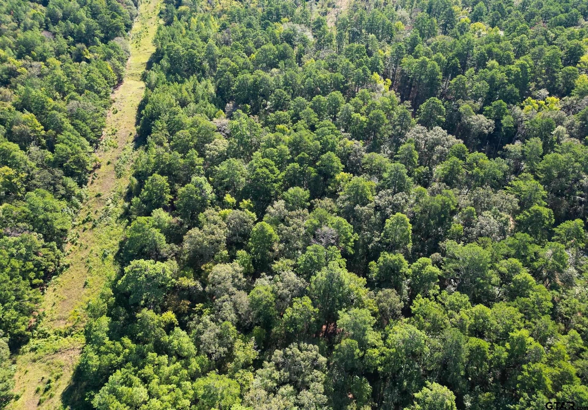 15 acres in Cherokee County - photo 7