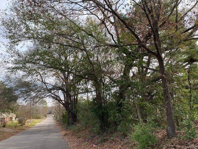 15.53 acres in Henderson County featured view