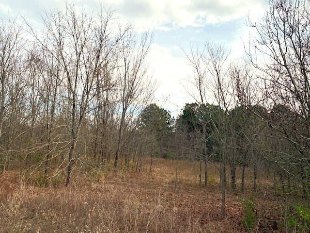 15.53 acres in Henderson County gallery image 2