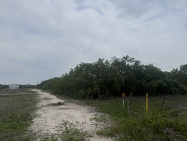 2.34 acres in San Patricio County gallery image 4