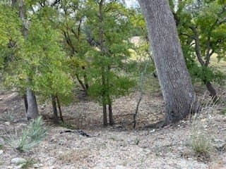144 acres in Gillespie County - photo 26