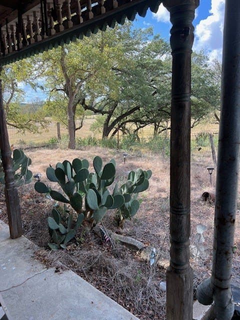 144 acres in Gillespie County - photo 24