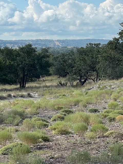 144 acres in Gillespie County - photo 10