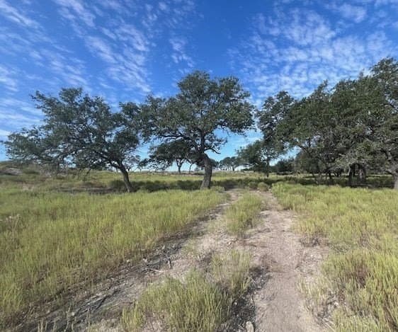 144 acres in Gillespie County - photo 17