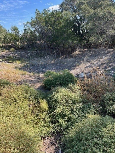144 acres in Gillespie County - photo 19