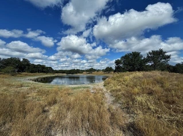 144 acres in Gillespie County - photo 15