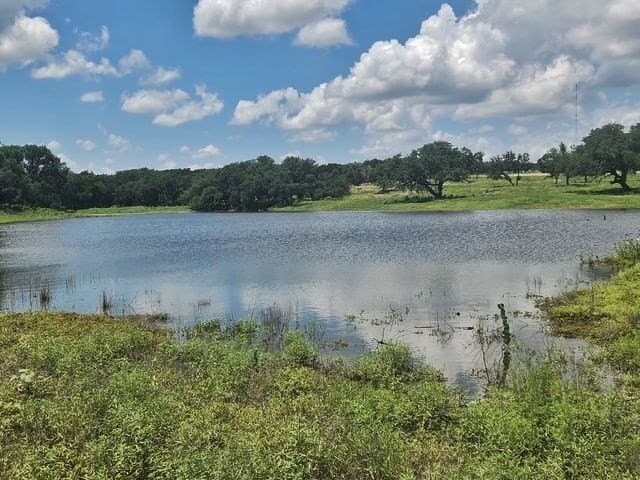 144 acres in Gillespie County - photo 4