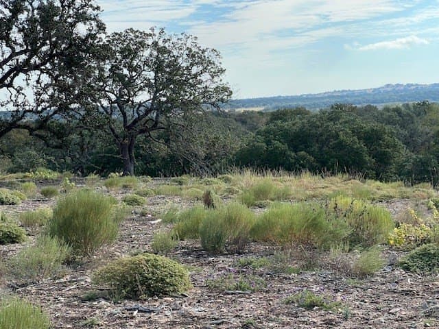 144 acres in Gillespie County - photo 8