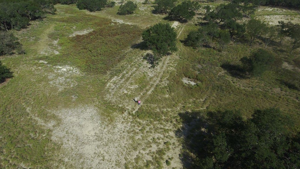 144 acres in Gillespie County - photo 6