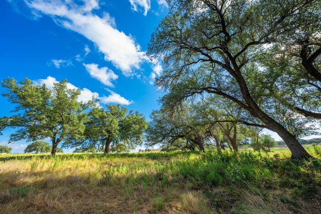20 acres in Blanco County - photo 16