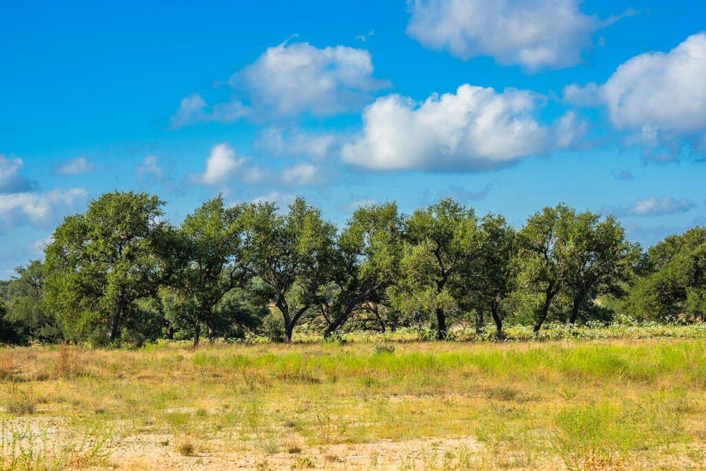 20 acres in Blanco County - photo 10