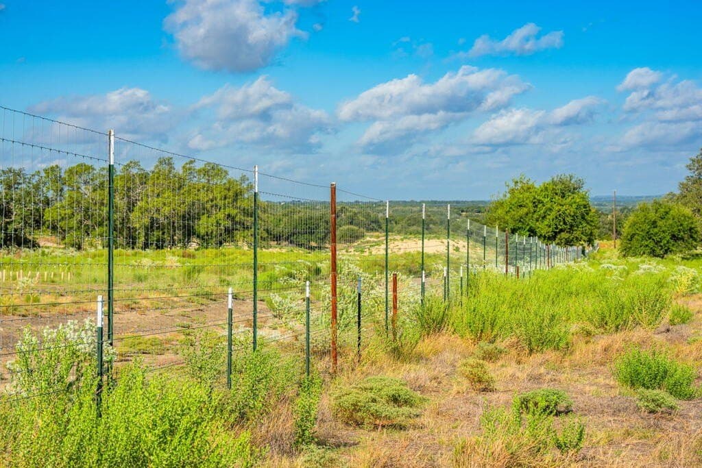 20 acres in Blanco County - photo 20