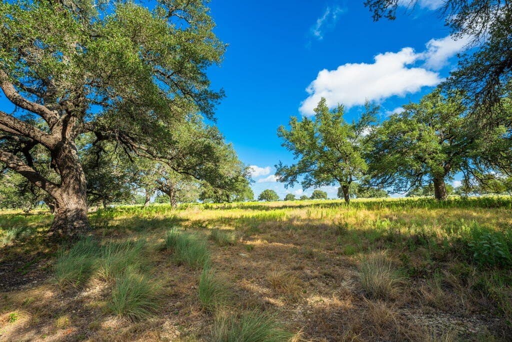 20 acres in Blanco County - photo 13