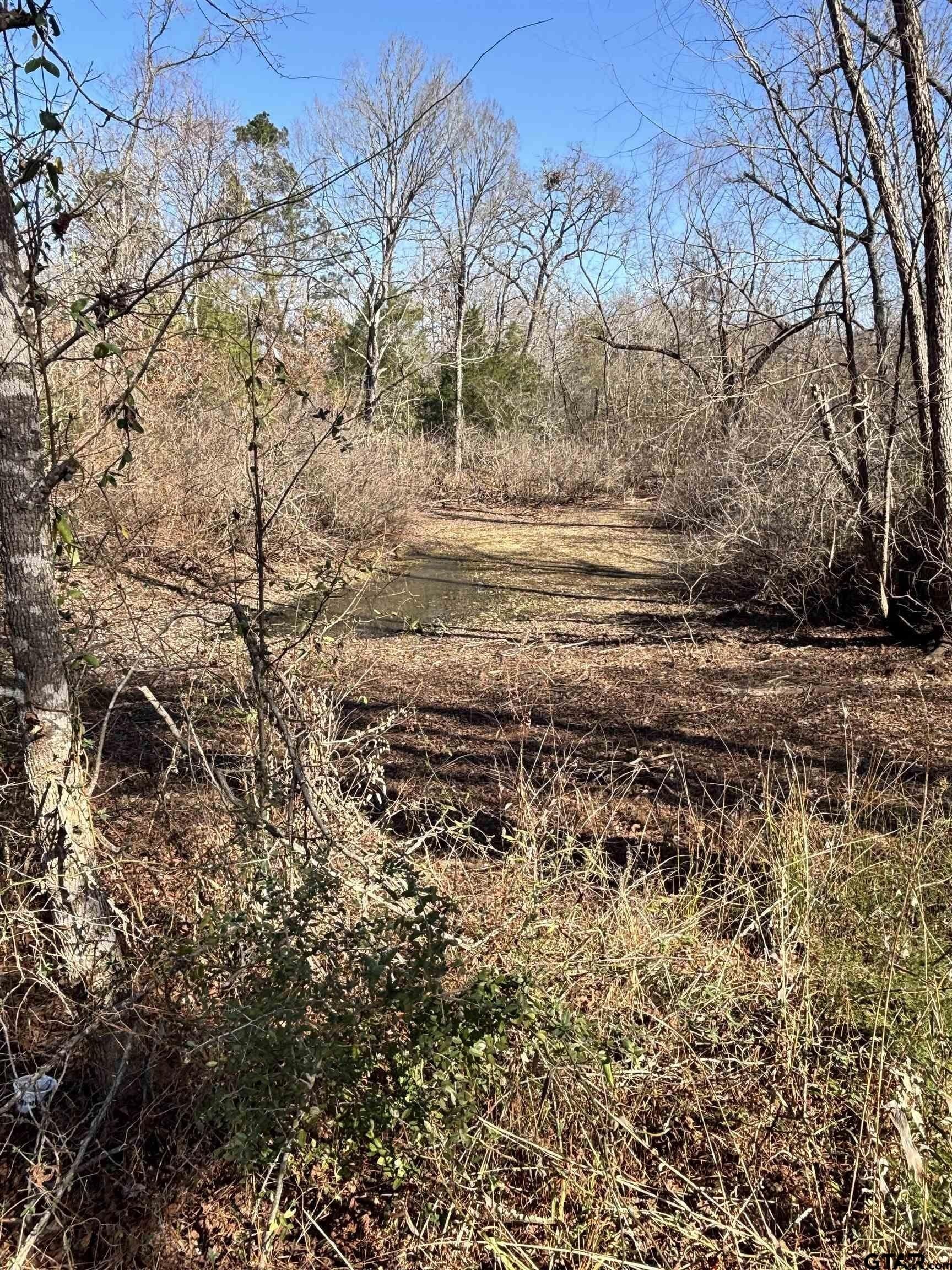 9 acres in Rusk County featured view